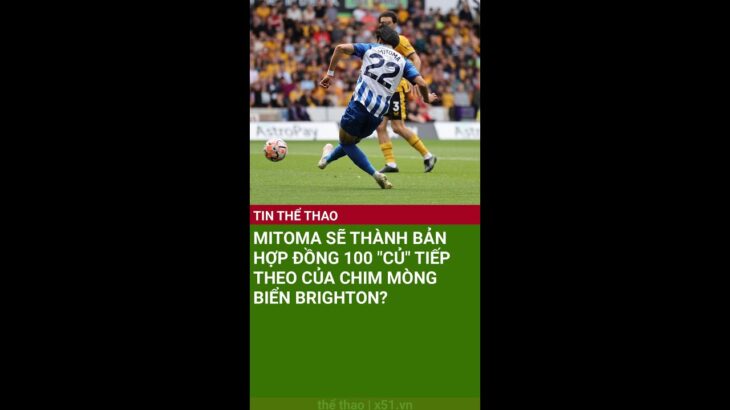 MITOMA SẼ THÀNH BẢN HỢP ĐỒNG 100 “CỦ” TIẾP THEO CỦA CHIM MÒNG BIỂN BRIGHTON? #SHORTS