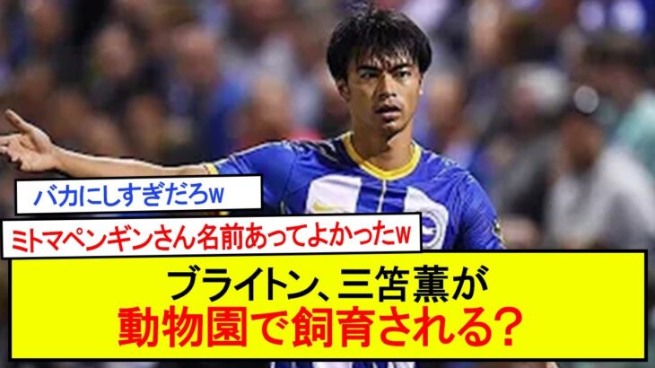 ブライトン、三笘薫が動物園で飼育される？