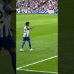 Mitoma – Brighton vs Newcastle United