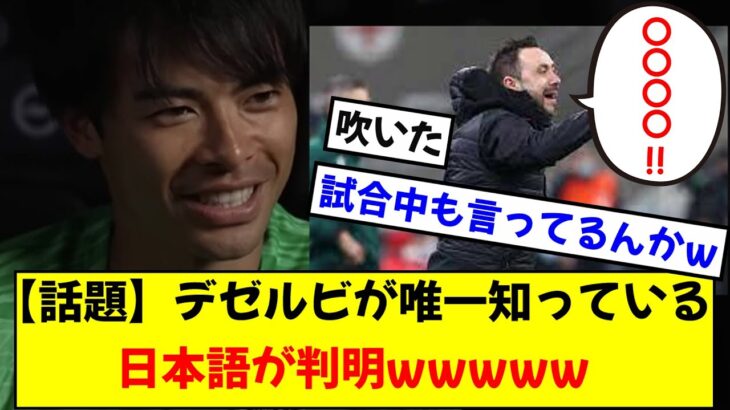 【話題】ブライトンデゼルビ監督、三笘に日本語をたまに使っていたことが発覚