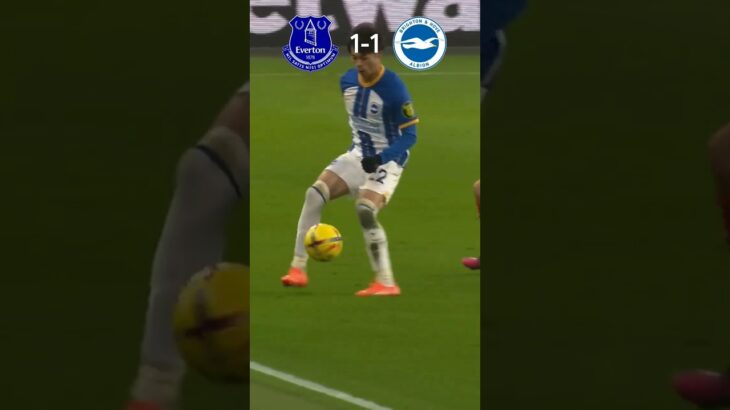 Skill Mitoma Everton Vs Brighton 1-1 | Liga Inggris 2023/24 Match Highlight