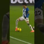 Skill Mitoma Pada Laga Everton Vs Brighton| Liga Inggris 2023/24 Highlight