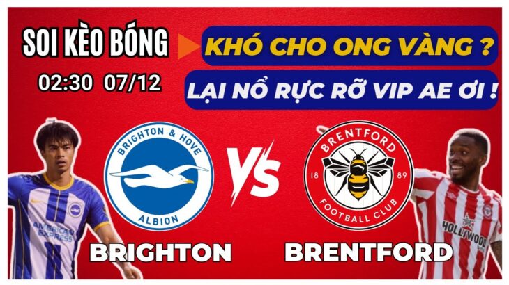 SOI KÈO TRẬN ĐẤU BRIGHTON với BRENTFORD, MITOMA LẬP CÚ ĐÚP 3 ĐIỂM ? NGOẠI HẠNG ANH VÒNG 15.