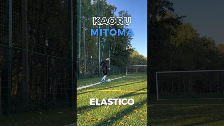 Elastico Kaoru Mitoma