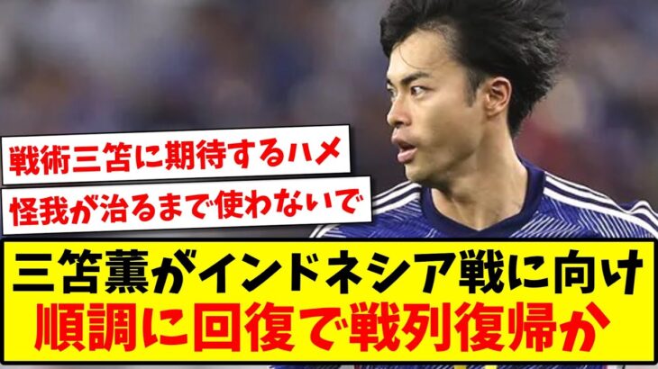 【戦術三笘】三笘薫がインドネシア戦に向け、順調に回復で戦列復帰か…