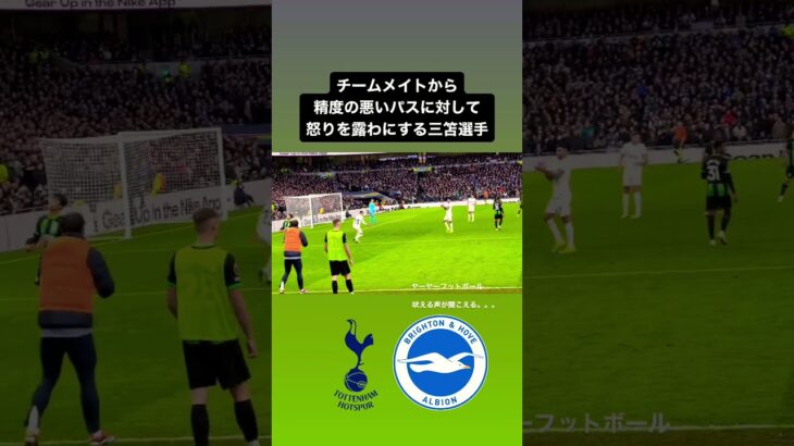 【#brighton  】吠える三笘選手｜#日本代表 #brighton #ブライトン #mitoma #spurs #三笘薫