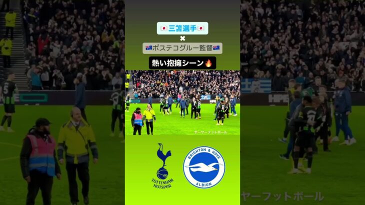 【#三笘薫 】三笘選手とポステコグルー監督の熱い抱擁シーン｜#日本代表 #brighton #ブライトン #mitoma #spurs