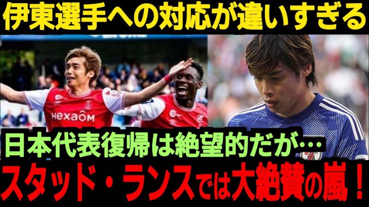 【海外の反応】伊東純也選手が直近の試合に出場、そして加藤弁護士から現状について衝撃の発言が…また三笘選手が所属するブライトンがトッテナムと対戦、海外の反応は？【サッカー日本代表】