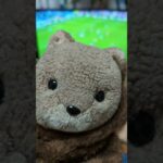 三笘も活躍したし気をつけていってらっしゃい〜🐻⚽