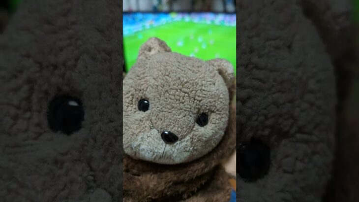 三笘も活躍したし気をつけていってらっしゃい〜🐻⚽