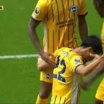 Kaoru Mitoma Goal, Everton vs Brighton (0-1) All Goals and Extended Highlights