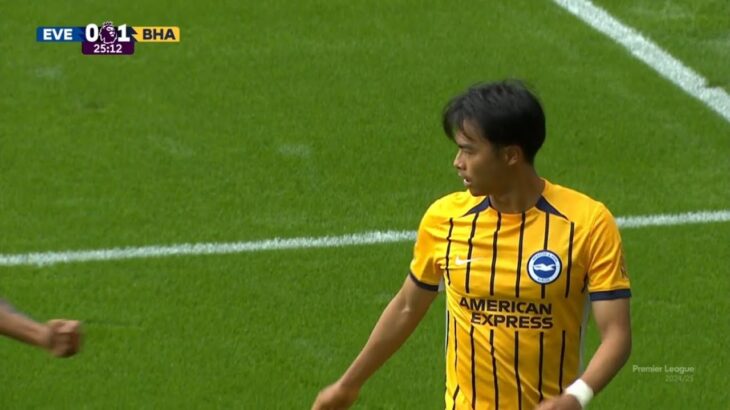 Kaoru Mitoma Goal | Everton vs Brighton 0-1 Highlights | Premier League 2024/25