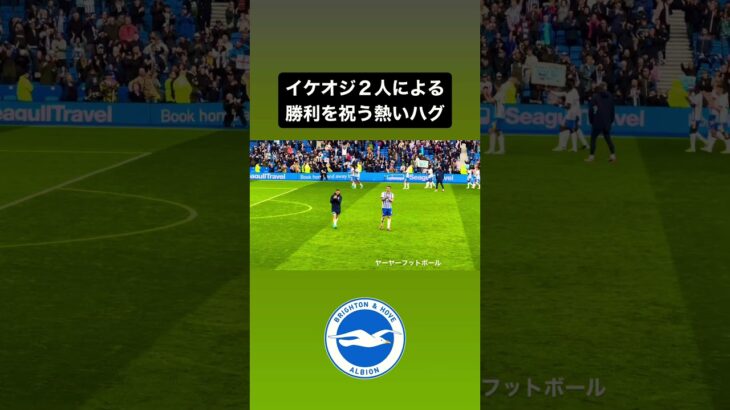 ブライトンのイケオジ２人のハグが一番熱いんじゃ🔥 ｜ #brighton #mitoma #三笘薫 #ブライトン #dunk #サッカー #seagulls #milner