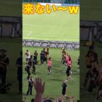 三笘が蹴ったボールが⚽🐻