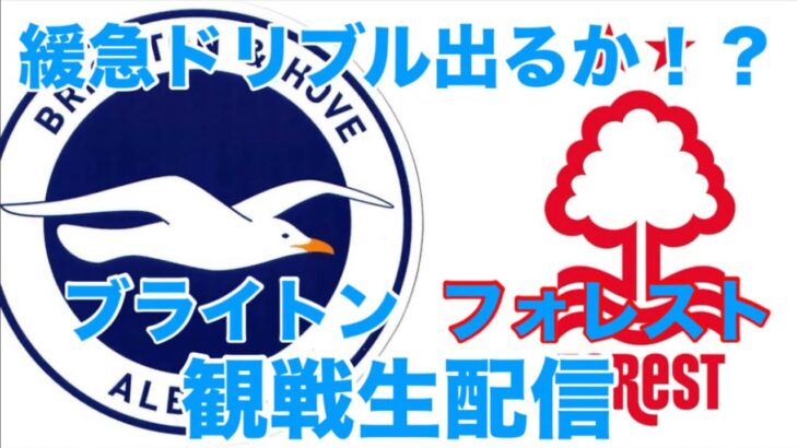 【緩急ドリブル出るか！？三笘薫スタメン】ブライトンVSノッティンガムフォレスト観戦生配信