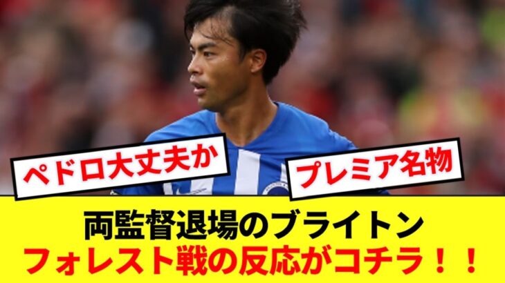 両監督退場の珍事発生ブライトンさん、三笘フル出場フォレスト戦の反応がコチラ！！