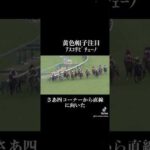 #桜花賞2024 #NHKマイルカップ有力馬 #競馬 #競馬予想