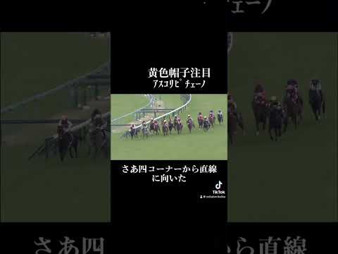 #桜花賞2024 #NHKマイルカップ有力馬 #競馬 #競馬予想