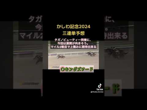 かしわ記念2024競馬予想 #競馬 #地方競馬#競馬予想 #馬券 #g1 #かしわ記念#ダート