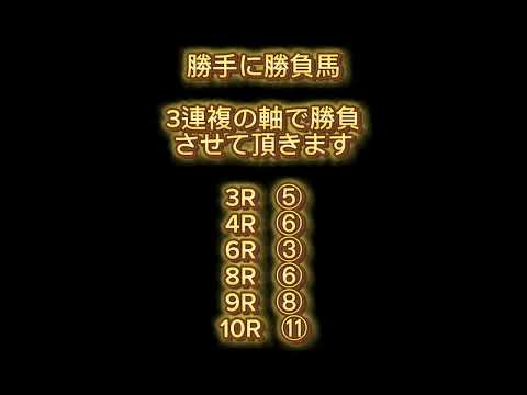 4月29日地方競馬(水沢)競馬予想!!勝手に勝負馬！！