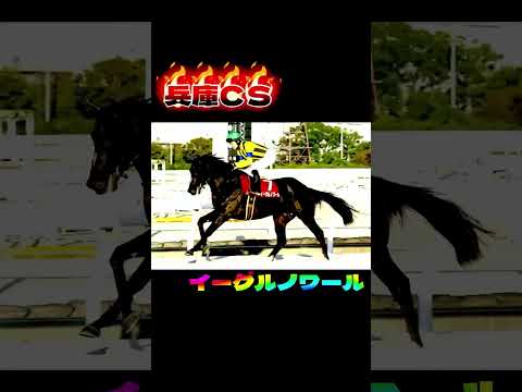 兵庫CS イーグルノワールやれ！#youtube #youtubeshorts #競馬 #競馬予想 #園田競馬