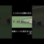 #NHKマイルカップ最有力候補　コンバデカーブース #競馬 #競馬予想