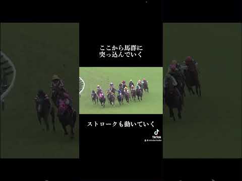 #競馬 #競馬予想 #NHKマイルカップ#有力馬候補