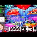 Pスーパー海物語IN沖縄5【沖海5】パチンコライブ配信 海物語ライブ生配信 こあげホール実践実機配信 『こあげ ++353 海物語Live』