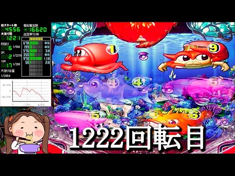 Pスーパー海物語IN沖縄5【沖海5】パチンコライブ配信 海物語ライブ生配信 こあげホール実践実機配信 『こあげ ++353 海物語Live』