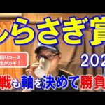 しらさぎ賞２０２４【浦和競馬予想】伏兵揃いで混戦ムード！？