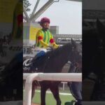 #競馬 #皐月賞 #競馬予想 #田口貫太 #羽田盃 #天皇賞