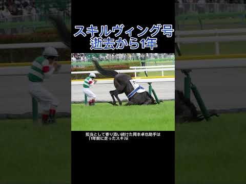 スキルヴィング号逝去から1年#競馬 #競馬予想 #日本ダービー #スキルヴィング #ルメール