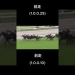 京都新聞杯過去10年データ　#京都新聞杯#競馬予想#競馬