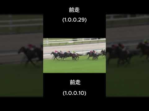 京都新聞杯過去10年データ　#京都新聞杯#競馬予想#競馬