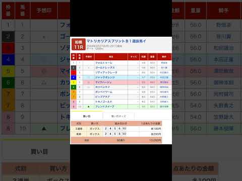 マトリカリアスプリントを予想します #船橋11R #競馬 #予想 #競馬予想 #買い目 #マトリカリアスプリント #船橋競馬 #船橋競馬場 #地方競馬 #メインレース