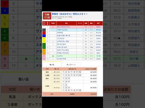 川崎11R 青葉空特別を予想します #競馬 #予想 #競馬予想 #買い目 #川崎競馬 #川崎競馬場 #青葉空特別 #地方競馬 #メインレース #川崎11R