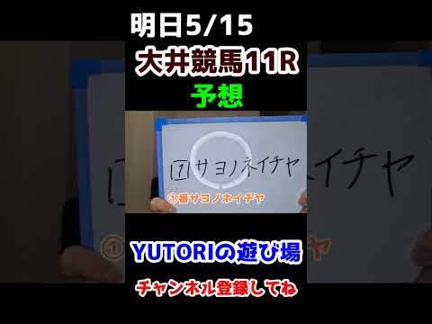 毎日本気の競馬予想~大井競馬11R赤坂賞＃Shorts＃オークス2024＃競馬予想＃競馬＃粗品＃ウマキんグ＃うまログ＃けんしろう競馬＃ジャンポケ斉藤＃じゃいちゅ～ぶ＃競馬初心者＃地方競馬＃オークス