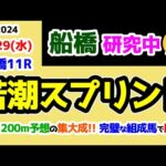 【船橋競馬研究中😏】船橋1200m予想集大成!!　完璧な組成馬で勝負😤【2024.5.29 船橋11R 若潮スプリント (重賞)】