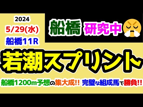 【船橋競馬研究中😏】船橋1200m予想集大成!!　完璧な組成馬で勝負😤【2024.5.29 船橋11R 若潮スプリント (重賞)】