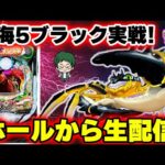 【生165連②】P大海物語5ブラック!メガネGIGAの生配信!(2024/5/11)