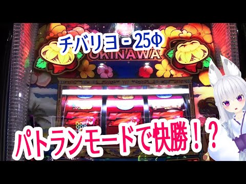 【パチスロ】ごごすろ 木の葉17枚目 チバリヨで完全勝利からの？？【チバリヨ-25Φ】