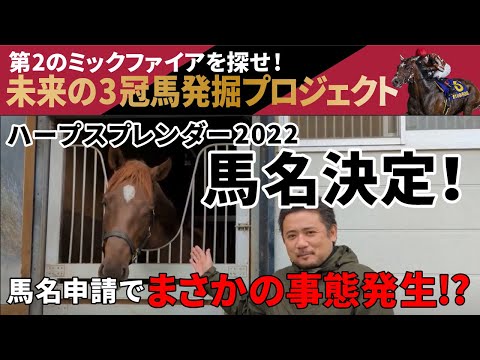 サマーセール2023で落札のハープスプレンダー2022の馬名が決定！