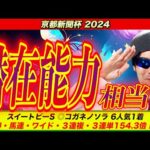 【京都新聞杯2024】この馬の潜在能力相当！！【競馬予想 全頭診断】