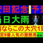 2024年 安田記念 予想 雨なら絶対買うべき穴馬