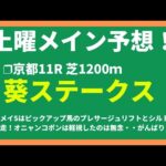 【2024競馬予想】葵ステークス｜桜花賞で惜敗したエトヴプレのほかにも注目すべき馬はいる！