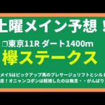 【2024競馬予想】欅ステークス｜左回りで変身を期待できるフルムに注目！？