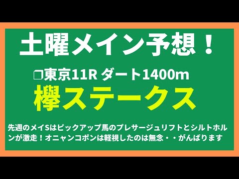 【2024競馬予想】欅ステークス｜左回りで変身を期待できるフルムに注目！？