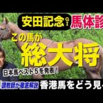 【安田記念2024】中村均元調教師が馬体診断　日本馬ベスト５を発表！香港馬との比較は？《東スポ競馬ニュース》