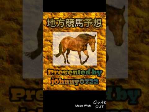 【簡易版】2024笠松競馬　きそ長良川オープン予想