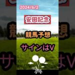 2024年安田記念 競馬予想サインはVパート2